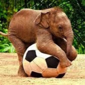 Meet your Posher, Ellie